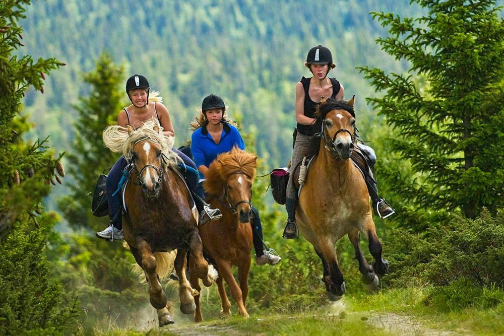 Rondane River Lodge - Rondane Gjestegard Enden ภายนอก รูปภาพ