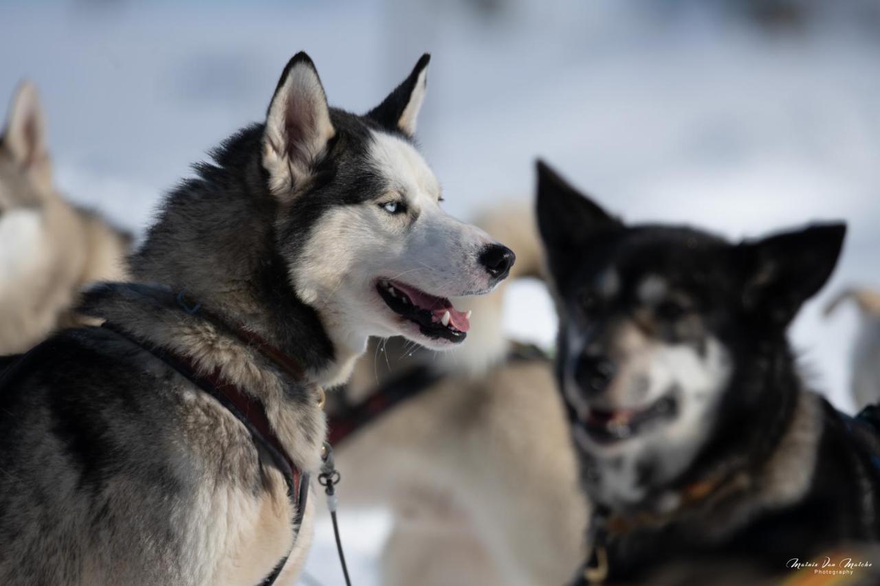 Rondane River Lodge - Rondane Gjestegard Enden ภายนอก รูปภาพ