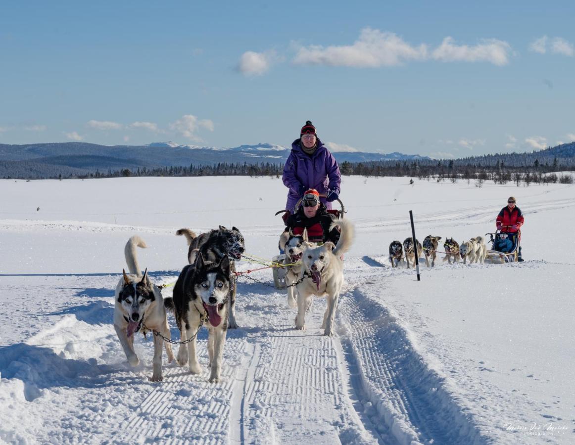 Rondane River Lodge - Rondane Gjestegard Enden ภายนอก รูปภาพ